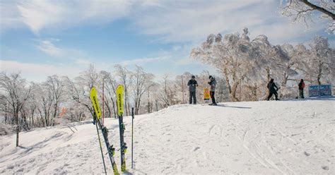 Nagano's ski resorts go global - Olympic News