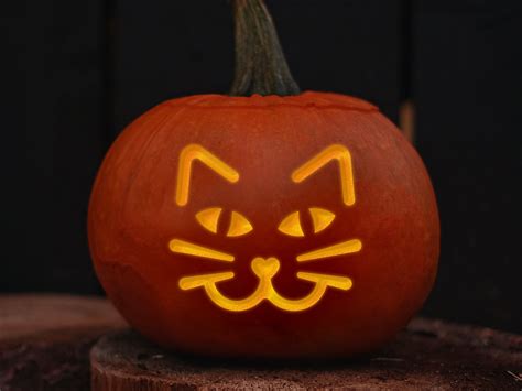 Cool Cat Pumpkin Carvings