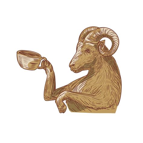 Ram Goat Drinking Coffee Drawing 11666397 Vector Art at Vecteezy