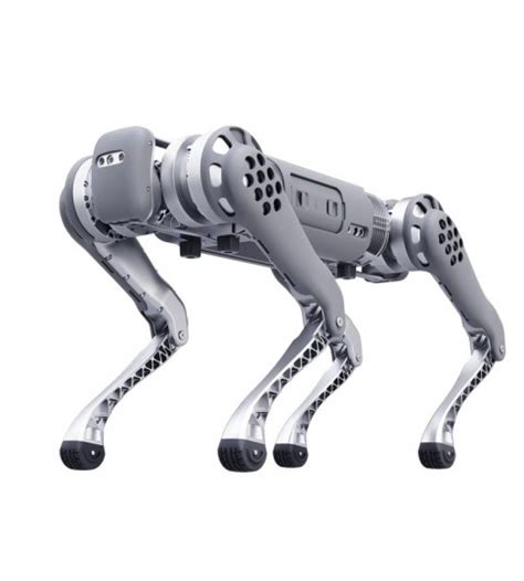 Unitree Robotics B1 Robot Dog Review | Top 3D Shop