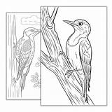 Printable Woodpecker Coloring Page Detailed Nature Inspired Design For  sketch template