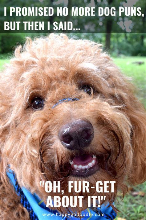 50 Dog Puns: The "Ultimutt" List To Make You Smile (Or Grrrroan) | Dog puns, Dog jokes, Dog list