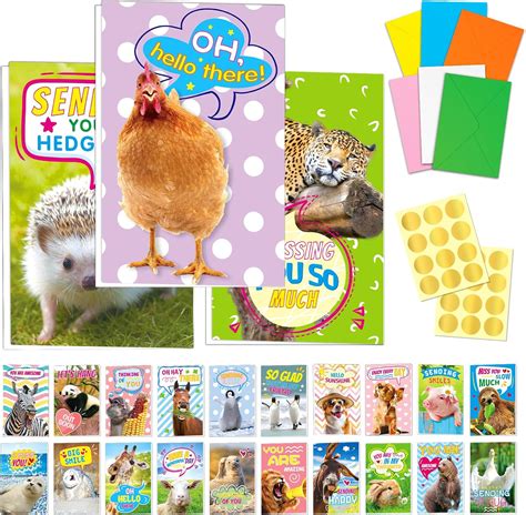 Amazon.com : Funny Animal Greeting Cards with Envelopes Stickers 24 Pack Thinking of You Miss ...