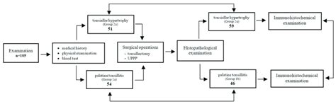 Scheme of the study design. | Download Scientific Diagram