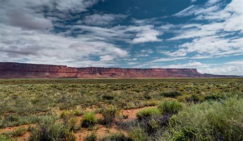 What Is a Steppe? - WorldAtlas