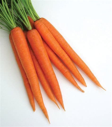 Orange carrots: Look for the ones with the deepest orange color. You'll ...