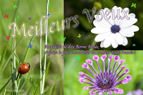 Cartes virtuelles souhaiter les voeux - Joliecarte