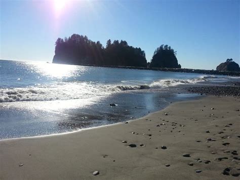 La Push Beach - Alchetron, The Free Social Encyclopedia