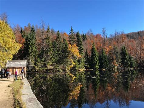 THE 10 BEST Things to Do in Bavarian Forest - 2022 (with Photos) | Tripadvisor - Must See ...