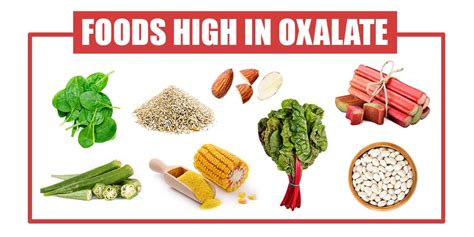 Calcium Rich Foods Chart