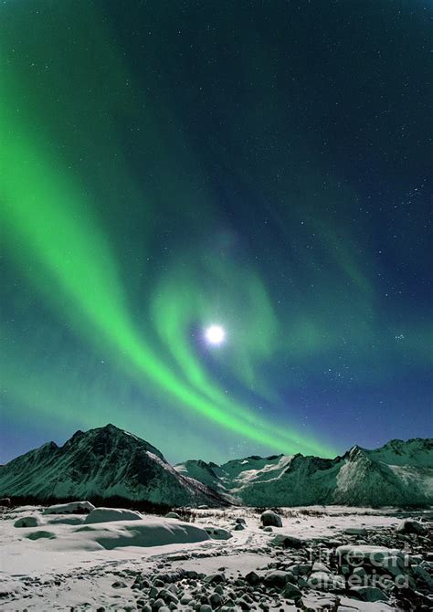 Aurora Northern Polar light in night sky over Northern Norway ...