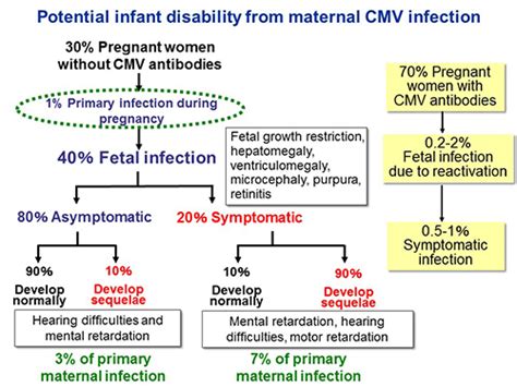 New method for predicting congenital CMV infection during the prenatal period | Research at Kobe