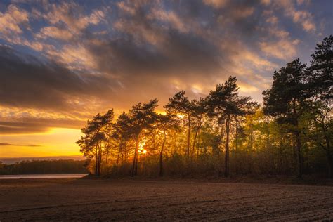 Forest Photography - Spring Sunset - Fujifilm XT4 — Dedication Photography