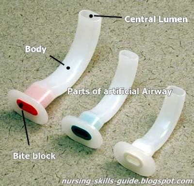 Nursing Skills Guide: Artificial Airway