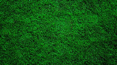 Green Grass Backgrounds - Wallpaper Cave