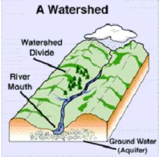 Native Ecosystems Protection & Management | Learn About Watersheds