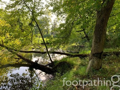 Millstone River Trail at Grover's Mill | footpathing