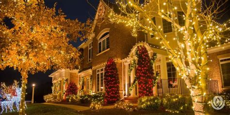 The Best Outdoor Christmas Lights to Brighten Your Landscape - Live Well Outdoors