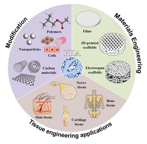 Polymers | Free Full-Text | Review of Hybrid Materials Based on ...