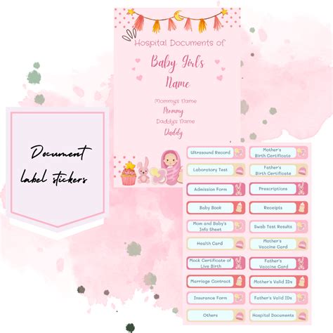 Baby Girl Pink Editable Hospital Documents Sticker Labels - Etsy