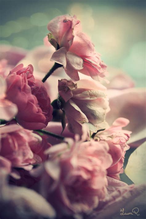 vintage roses by LunaDulcinea on DeviantArt