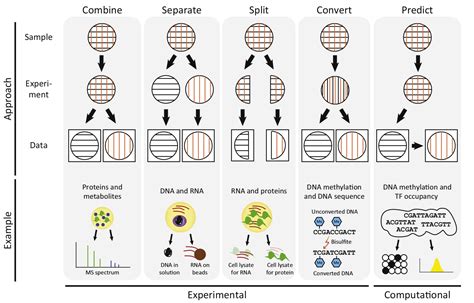 Single cell epigenomics