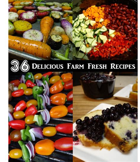 36 Farm Fresh Recipes to Try This Week Rural Mom