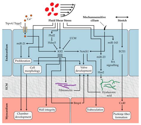 Diseases | Special Issue : Epigenetics and Disease