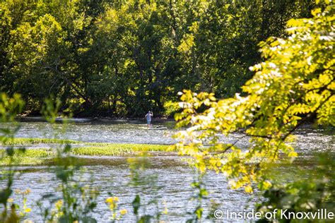 Seven Islands State Birding Park is a Great In-County Getaway | Inside ...