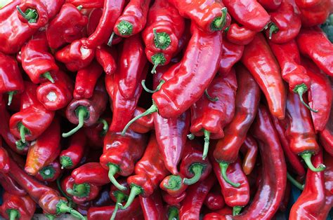 Chili pepper - Wikipedia
