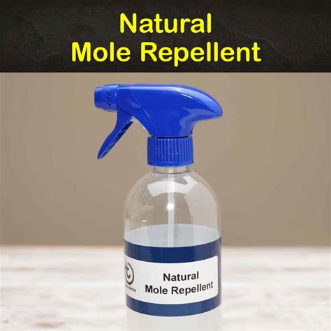 9 Easy-to-Make Mole Repellents