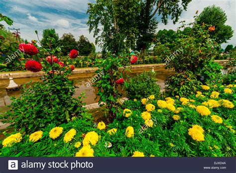 Shalimar Gardens Srinagar Stock Photos & Shalimar Gardens Srinagar Stock Images - Alamy