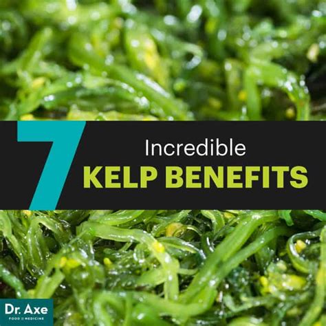 Kelp: Top 7 Kelp Benefits & Kelp Recipes - Dr. Axe