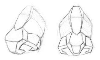 How to Draw a Nose – Anatomy and Structure – Stan Prokopenko