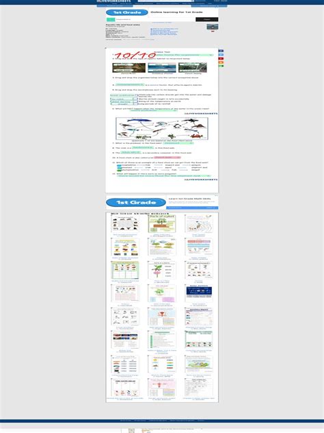 Aquatic Life and Food Webs Worksheet PDF | PDF | Worksheet | Aquatic Ecosystem