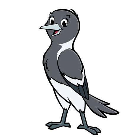 Magpie Illustrations, Royalty-Free Vector Graphics & Clip Art - iStock