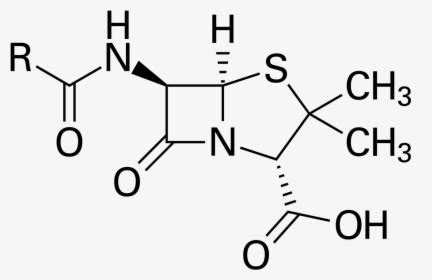 Penicillin Structure, HD Png Download , Transparent Png Image - PNGitem