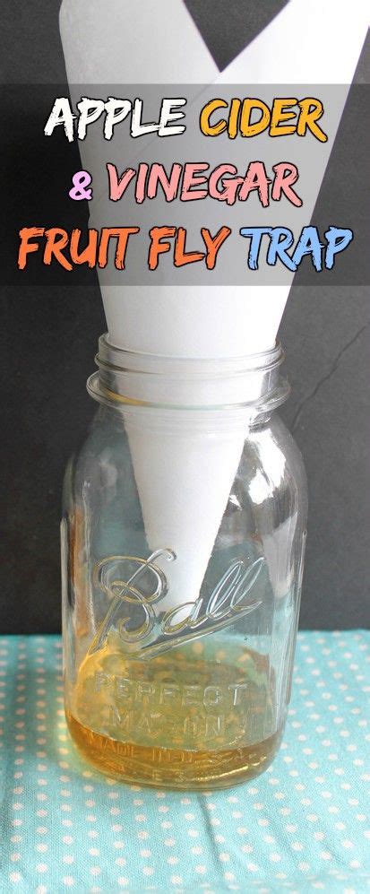 The top 23 Ideas About Fruit Fly Trap Apple Cider Vinegar - Home, Family, Style and Art Ideas