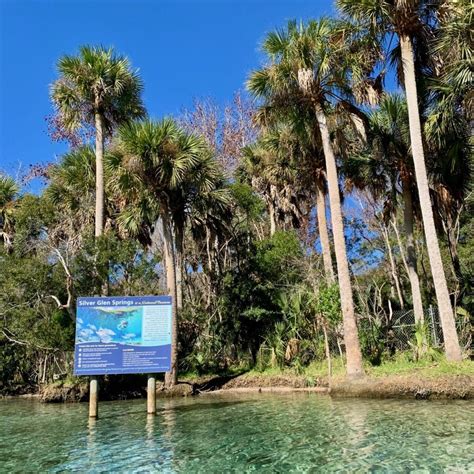 Silver Glen Springs | Ocala, Florida - impulse4adventure