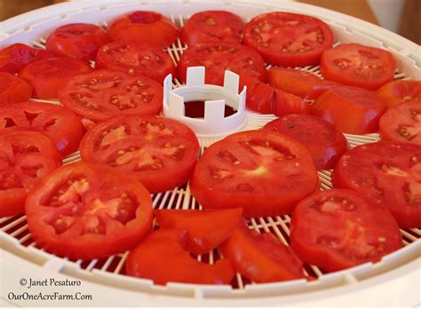 6 Tips for Drying Tomatoes