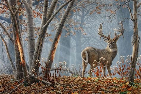 Pin on Art - Wildlife - Deer