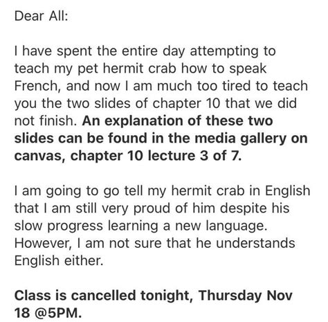 Best professor : funny