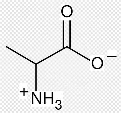 Protein Molecular Structure