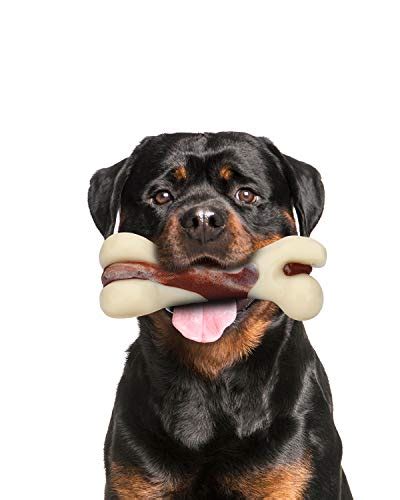 The Best Dog Bones for Large Dogs: A Buyer’s Guide with Key Tips