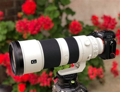 First review of Sony FE 200-600mm f/5.6-6.3 G for wildlife shooter by ...