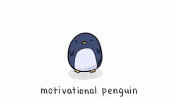 Motivational Penguin GIFs | Tenor