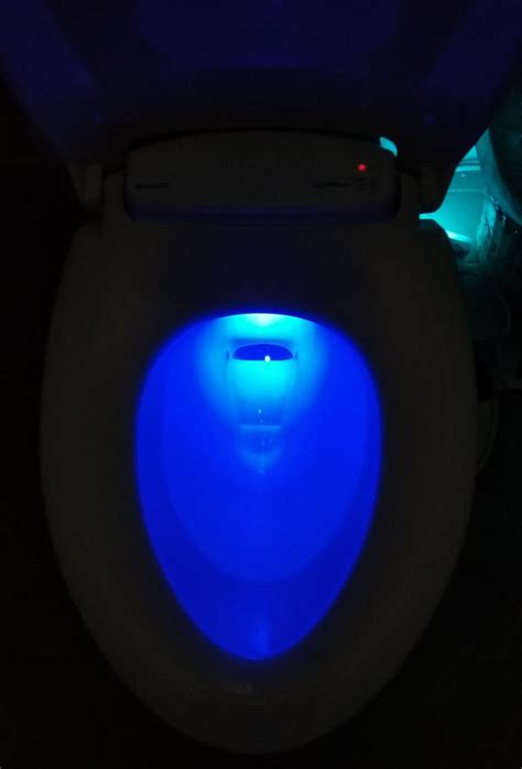 Heated Toilet Seat for Winter