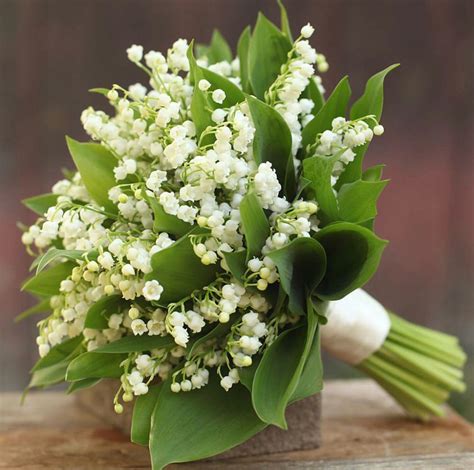 Beautiful Wedding Bouquet Of: White Lily Of The Valley + Foliage | Lily ...