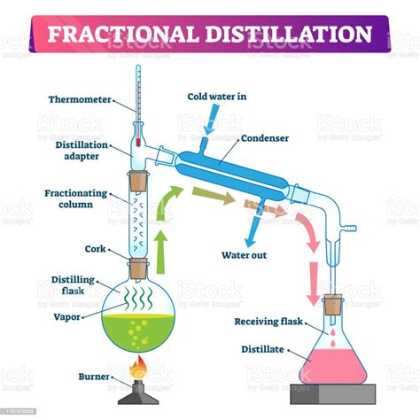 Fractional Distillation Vector Illustration Labeled Educational Process Stock Illustration ...