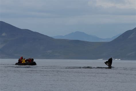 How an Arctic Expedition Cruise Works